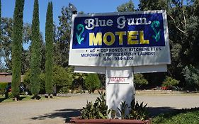 Blue Gum Motel